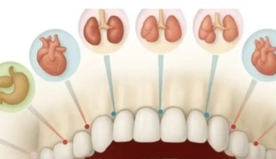 Each tooth is connected to an organ in the body: pain in any of them can predict future problems