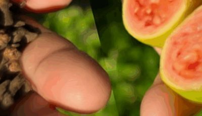 Hospitals Left Empty: This Natural Drink Cures Poor Circulation, Diabetes, and High Blood Pressure Without Pills