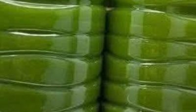 Anti-Inflammatory Liquid Gold (Green Juice)
