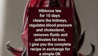 Results for: The Ultimate Hibiscus Tea Wellness Tonic