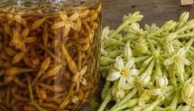 Papaya Flower: Benefits, Properties, and How to Use It