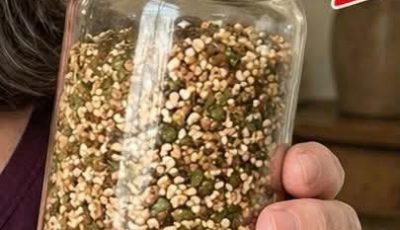 Discover the Natural Seed Mix That’s Sparking Conversations About Skin Support