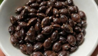 Apple Seeds and Cancer Claims: What Science Actually Says
