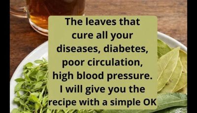 Medicinal Leaves: Health Benefits, Traditional Uses, and Safe Ways to Enjoy Herbal Remedies