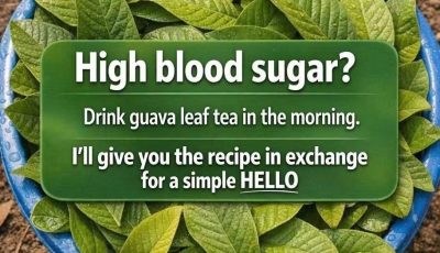 Guava Benefits: 5 Delicious Guava Recipes to Support a Healthy Lifestyle