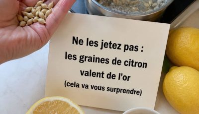 Ne jetez pas les pépins de citron : un trésor naturel que presque tout le monde gaspille.