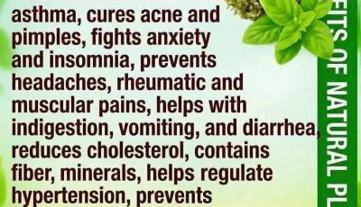 The Ultimate Natural Remedy for Health Issues Over 50: A Simple Solution to Diabetes, Fatty Liver, Poor Circulation, and Joint Pain