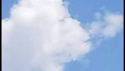 What Do You See: A Fish or a Plane?