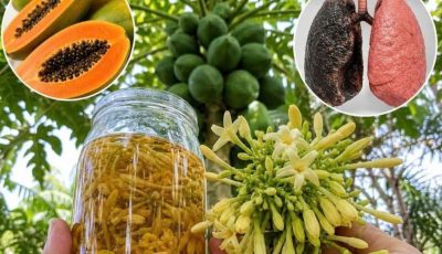 Papaya Flowers: 17 Potential Health Benefits, Nutrition, and Easy Ways to Enjoy Them After 30