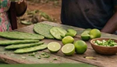 Lemon and Nopal Drink: A Refreshing High-Fiber Beverage for Everyday Wellness