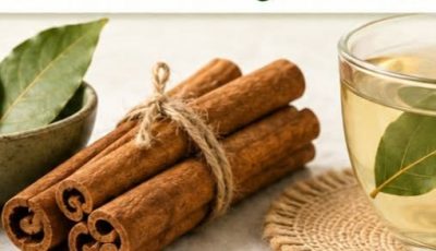 Envies de sucre et glycémie instable : une infusion à la cannelle et au laurier pour accompagner une routine équilibrée