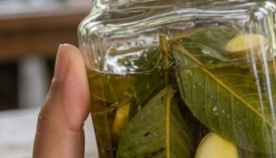 Guava Leaves and Garlic Tea: A Traditional Herbal Drink to Support Heart Health, Healthy Circulation, and Blood Sugar Balance