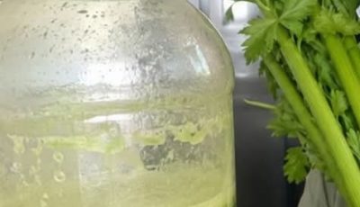 Drinking Celery Juice on an Empty Stomach: A Simple Morning Habit That May Support a Healthier Start to Your Day