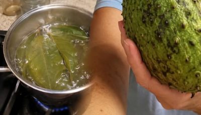 Soursop Leaves Tea: Potential Benefits, Traditional Uses, Preparation, and Important Safety Information