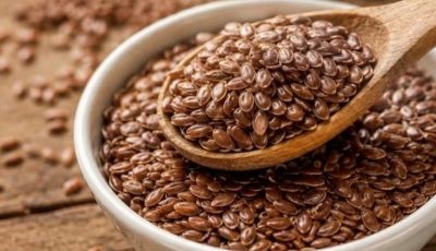 Bird Seed Soaked Water: Can It Support Healthy Blood Sugar and Overall Wellness?