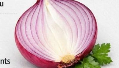 Purple Onion Benefits for Your Health: A Natural Addition to Everyday Wellness