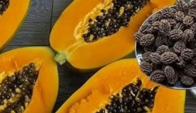 Papaya Seeds for Intestinal Parasites: A Traditional Natural Remedy for Digestive Health