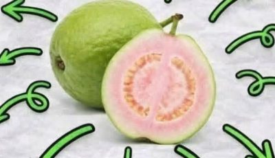 Guava Leaf Tea: Benefits, Properties, and How to Prepare It