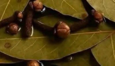 Bay Leaf and Clove Herbal Tea