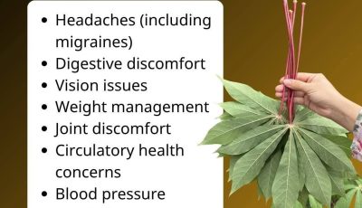 Cassava Leaves Benefits: Uses, Preparation, and Health Considerations