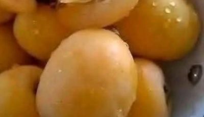 Traditional Apricot (Mishmish) Jam