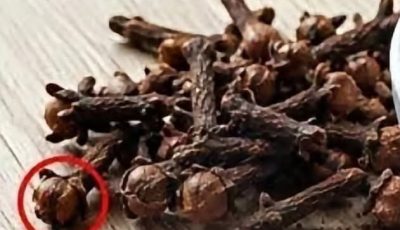 Cloves for Wellness? Benefits, Risks, and What to Know First