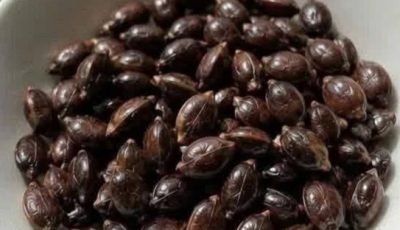 Apple Seeds and Cancer Claims: What Science Actually Says