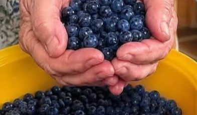 How to Preserve Fresh Blueberries at Home for Months