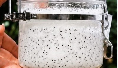 Recette Professionnelle de Jus Concentré de Pitaya Blanche (Fruit du Dragon Blanc)