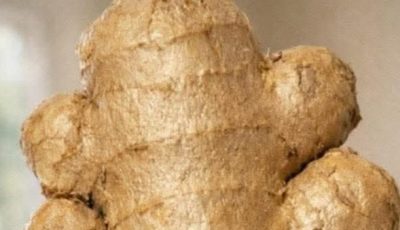 Natural Ways to Clean Your Respiratory Tract and Strengthen Your Immune System