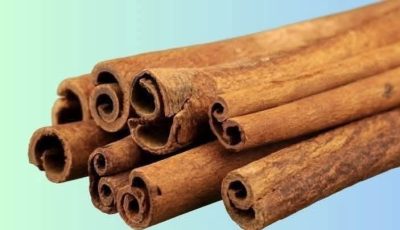 Aloe Vera with Cinnamon: The Home Remedy That Protects Your Health and Vision