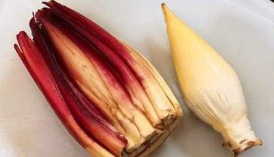 Banana Blossom: Health Benefits, Recipes, and Traditional Uses